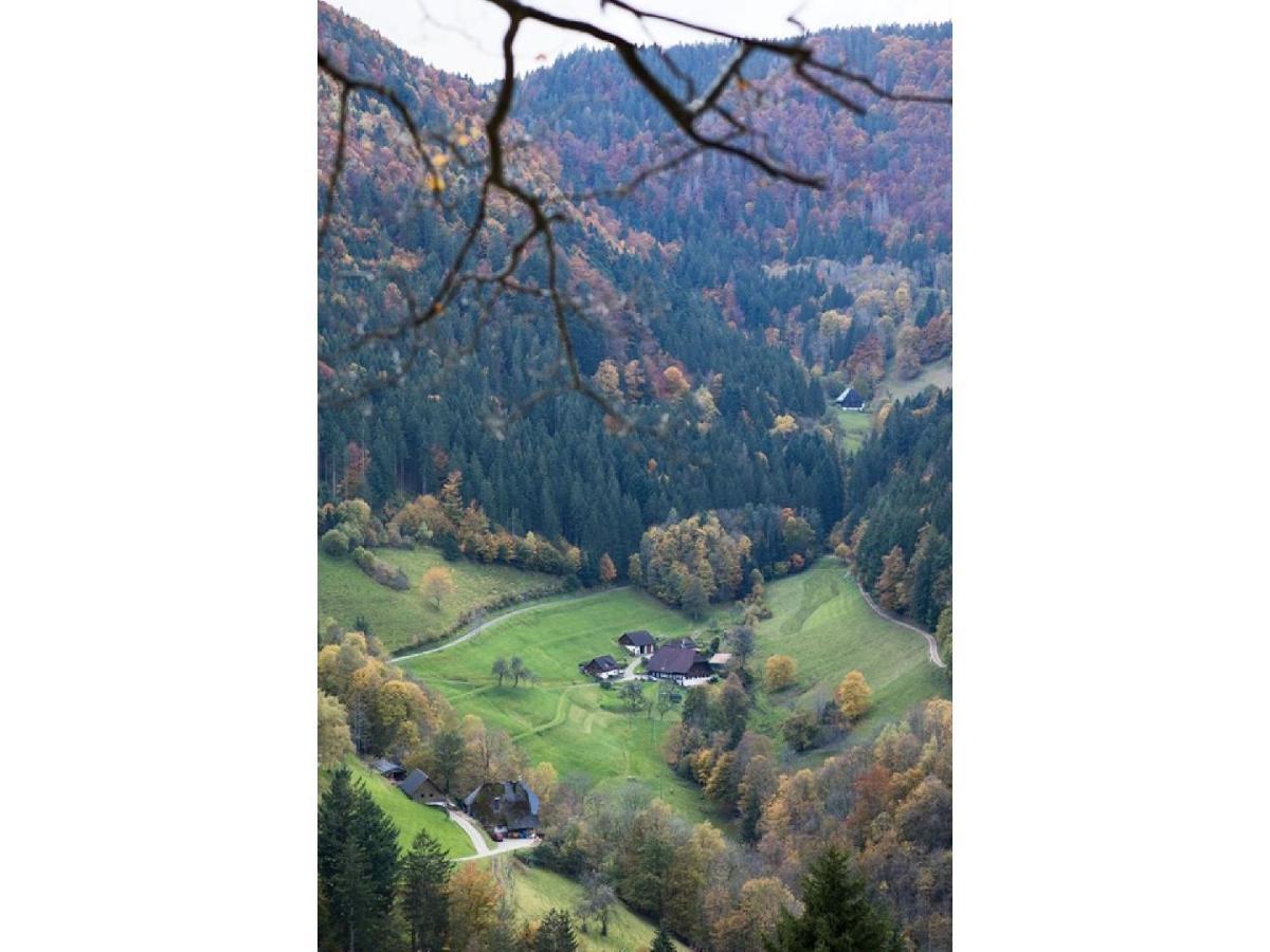 Berghotel Und Restaurant Kraeuter Chalet Furtwangen Eksteriør bilde